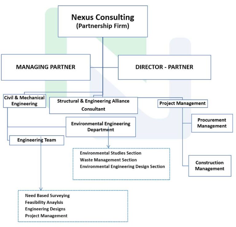 Organizational Structure : Nexus Consulting